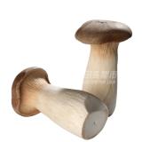 新鲜杏鲍菇 约150g