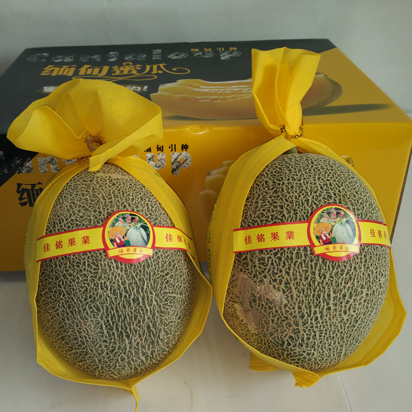 缅甸蜜瓜9kg