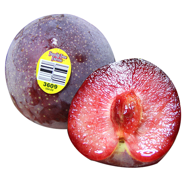 恐龙蛋 3.5kg