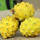 进口燕窝果 2.5kg