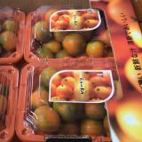 金桔 2kg