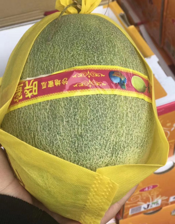 海南香妃小蜜瓜6kg