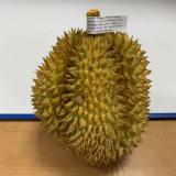 金枕榴莲 3-4只