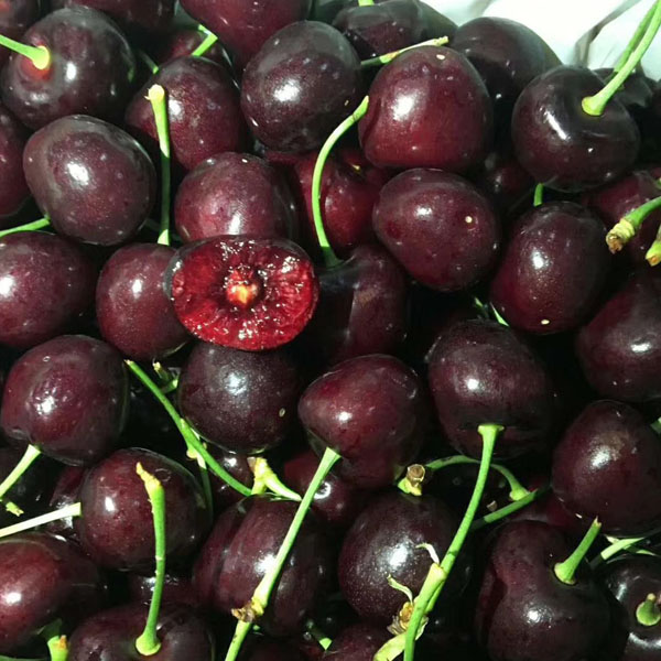 车厘子 JJJ 5kg
