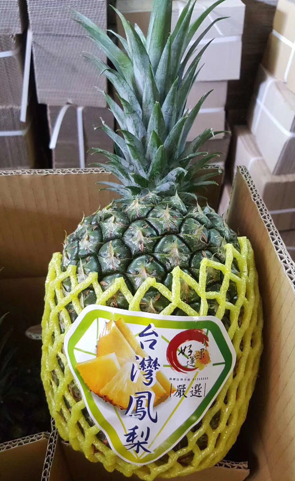 西瓜凤梨4-5个装/箱