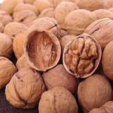 薄皮核桃 1.5kg