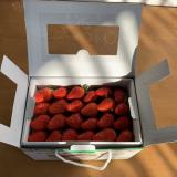 三层草莓礼盒 3斤