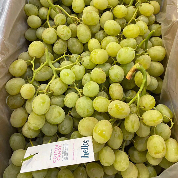 澳洲棉花糖青提 3.5kg