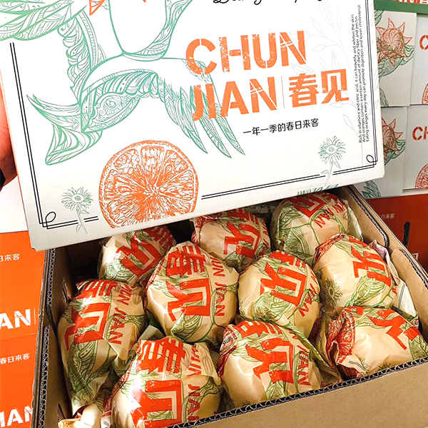 春见丑橘礼盒 3.5kg