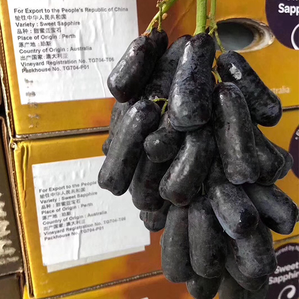 澳洲美人指黑提 4kg