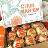 春见丑橘礼盒 3.5kg