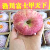 洛川苹果整箱装 7kg
