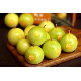 黄金百香果 1.5kg