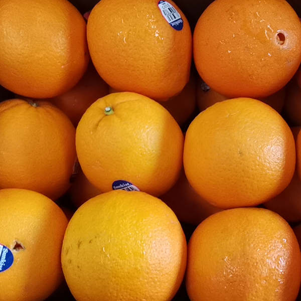 美国橙礼盒  18kg