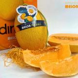 恐龙蛋蜜瓜 2只