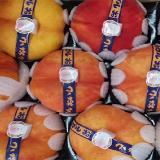 蟠桃 1.5kg
