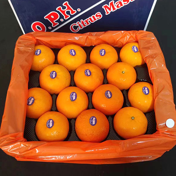 沃柑 约2kg