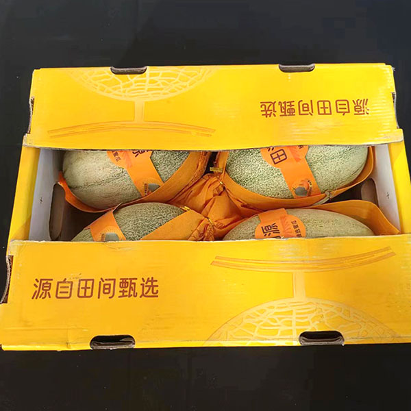 晓蜜瓜 5.5kg