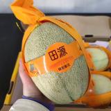 晓蜜瓜 5.5kg