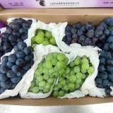 葡萄礼盒 8斤（夏黑+喜乐） 拼装