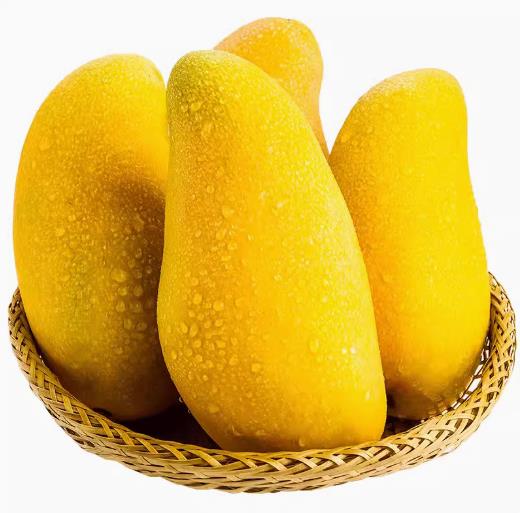 金煌芒 5kg