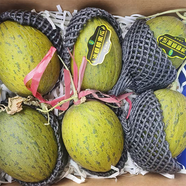 冰麒麟蜜瓜 6kg