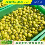 绿蜜珠小番茄 4斤装