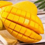 金煌芒 5kg