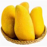 金煌芒 5kg