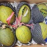 冰麒麟蜜瓜 6kg