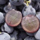 蓝莓葡萄 1.25kg