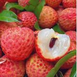 桂味荔枝 1.5kg