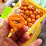 吊干杏 1.5kg
