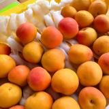吊干杏 1.5kg