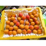 吊干杏 1.5kg