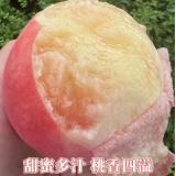 阳山水蜜桃 2kg