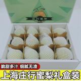 庄行蜜梨 5kg