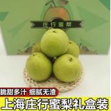 庄行蜜梨 5kg