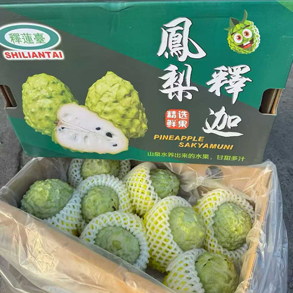 释迦 3kg