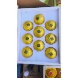 太秋脆柿 9个装