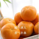 太秋脆柿 9个装
