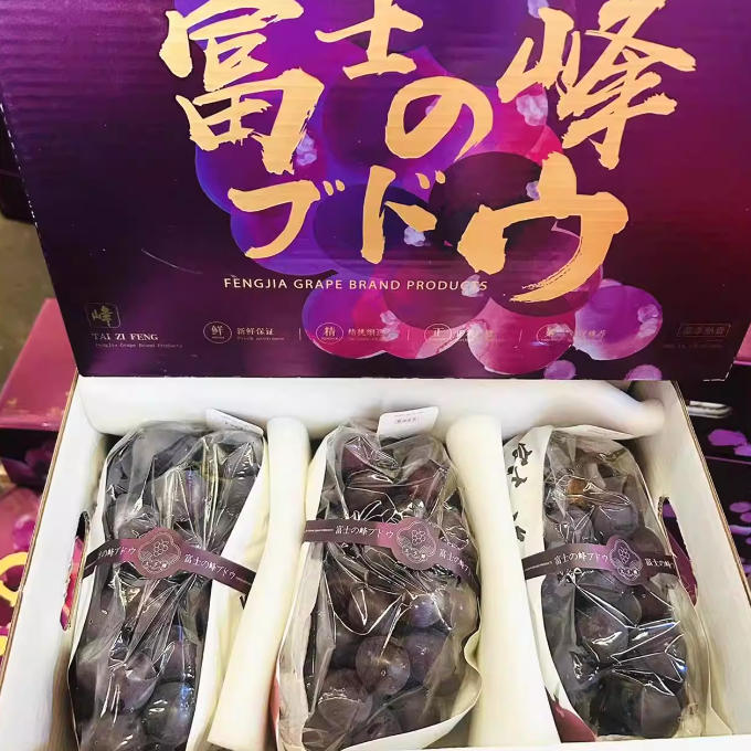 富士峰葡萄 2.7kg