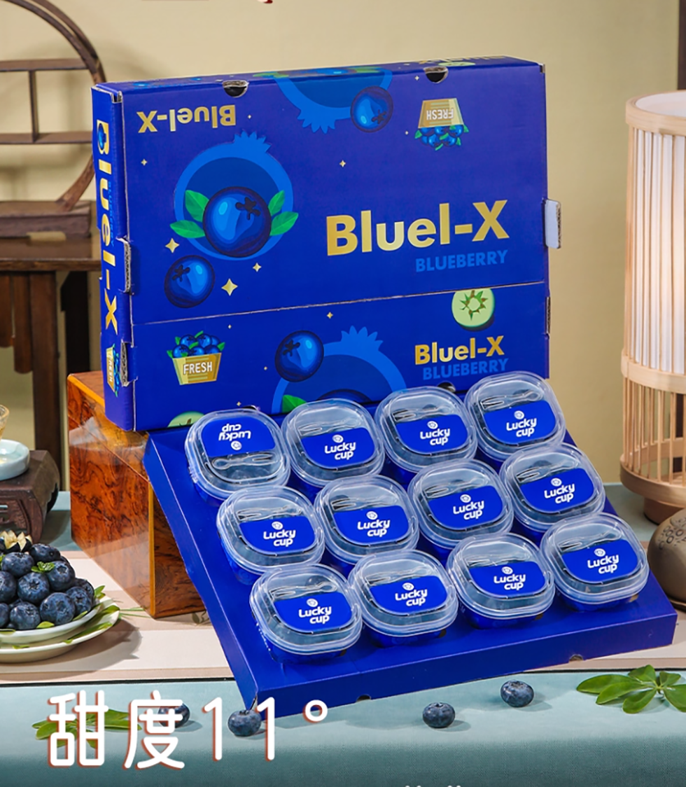 罐装蓝莓 12×125g