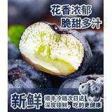 罐装蓝莓 12×125g