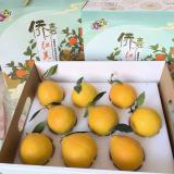 红美人礼盒 基地资产 9-12个装