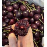 车厘子 5kg