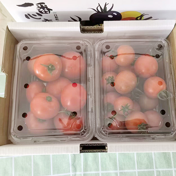 双拼小番茄 龙珠/春香 4斤