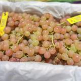 荔枝香葡萄 2kg