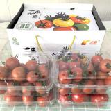 双拼小番茄 龙珠/春香 4斤