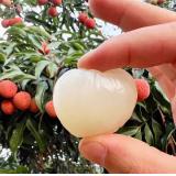 桂花香荔枝 1.5kg